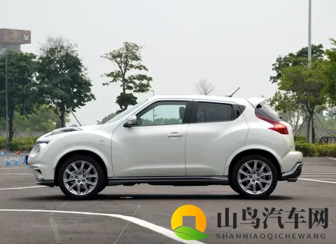 设计跳出三界外 盘点五款国内有一定能见度的“颜王”车-3