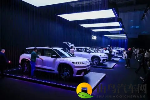 月销量不足万,现代的中国困局靠换人能解决?-1