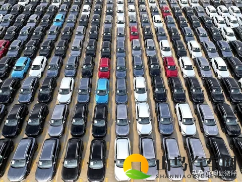 年轻人疯抢“破产车”!7万块提走14万哪吒,是捡漏还是踩坑?-3