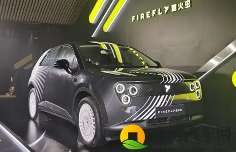 新势力10月销量公布，一边是创新纪录，一边是在保命-2