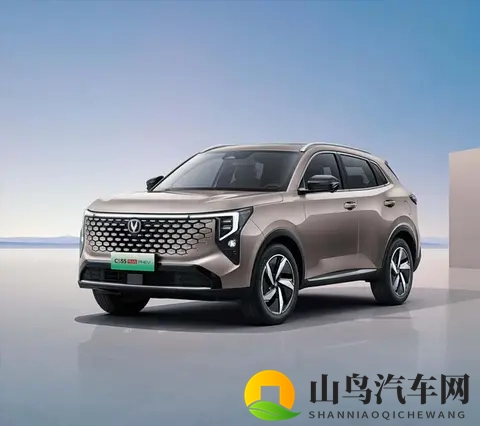 不良网站正能量：汽车品牌如何逆袭，正能量传播攻略大揭秘-2