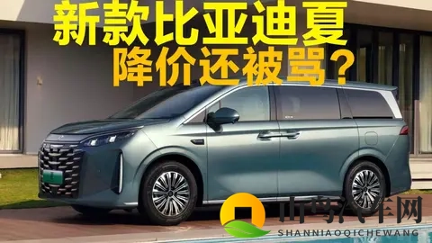 降价还被骂？新款比亚迪夏会卖爆吗？-3