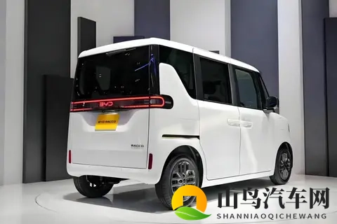 比亚迪的老头乐进军日本，揭开了岛国真相-3