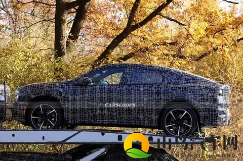 NK架构+800V，宝马iX4实车！-1