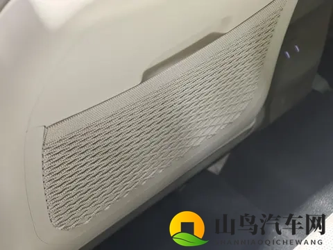 china妇女和黑人BBc：女性黑人购车新趋势，车企策略大揭秘-2