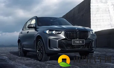 怎一个惨字了得！1-9月中大型SUV销量榜 仅一款销量过十万 豹8上榜-3