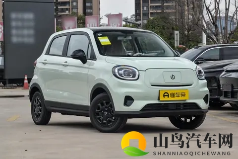 15 倍空间+2 倍续航!5 万级纯电车怎么选?-2