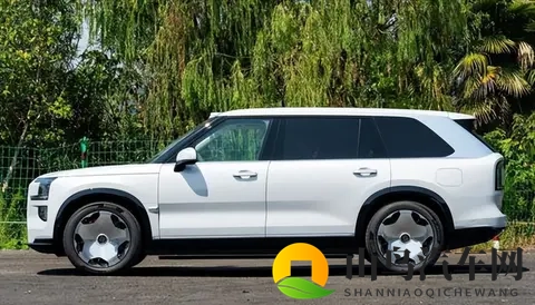 自主品牌扎堆推大型 SUV：不只是跟风，背后藏着这些门道-1
