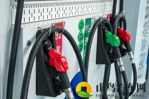 油价今晚涨5元！车主连夜排队，背后3个真相扎心了-3