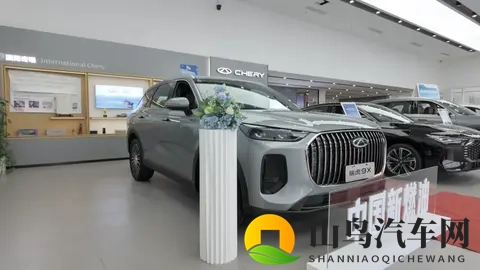 前三季度销量超200万辆！到底谁在买奇瑞？听听销售顾问怎么说-3