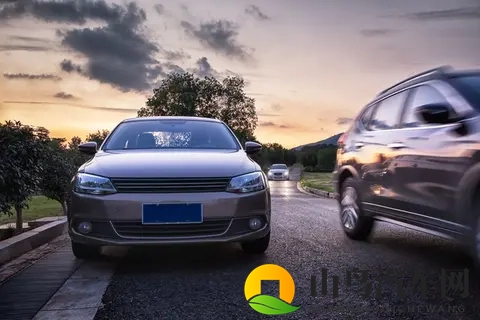 车市“脱油向电”的趋势会被改写吗？-2