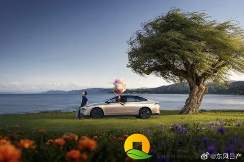 东风日产N6限时价1069万元起：当合资车企重新定义「务实」-2