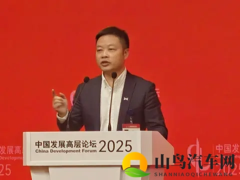 何小鹏说10年后中国汽车只剩5强和Others不少品牌老板听后背发凉-1