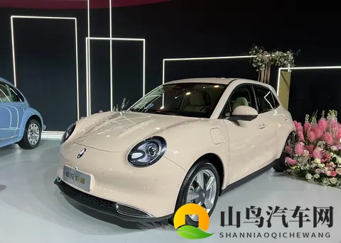 靠欧拉5这款纯电SUV，长城欧拉能不能翻盘？-3