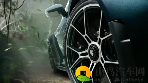 以自然景观为定制开发灵感，保时捷911 GT3 ‘Ocelot’正式发布-2