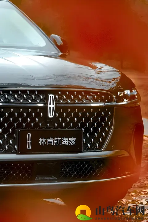 软件下载3.0.3免费oppo版大全装扮：《免费个性装扮，oppo车主专属驾驶神器》-3