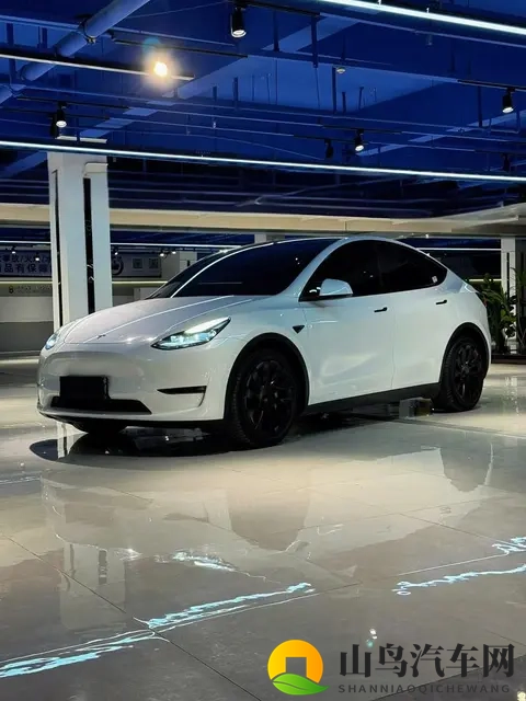 15万买二手百万特斯拉？看似捡漏，却可能是个坑！-3