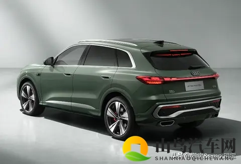 相扑猫:猫咪相扑大赛,萌态尽显逗趣横生-2