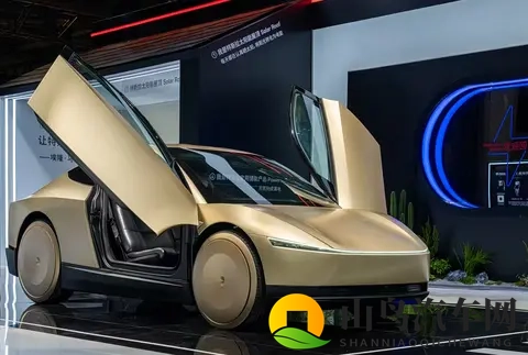 天天5g天天爽：畅享5G，每日畅快，生活无忧-1