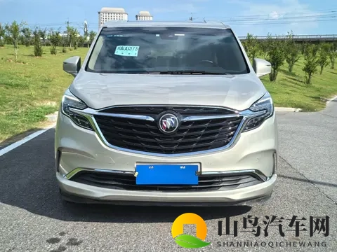 梦莹回乡扫墓并欢:尊贵SUV见证温情,家乡团圆乐翻天-3