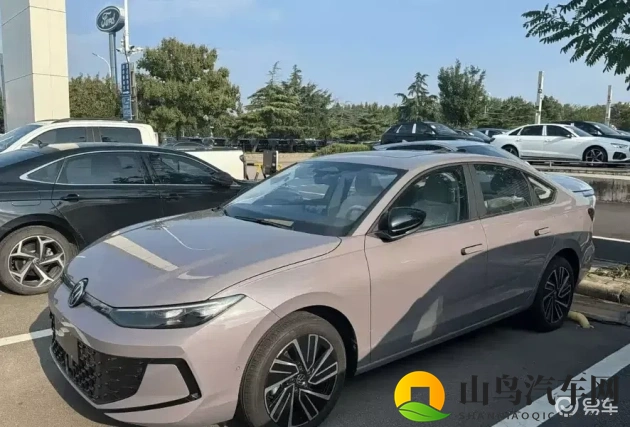 少妇xxx：年轻妻子遭遇惊心动魄的冒险之旅-1