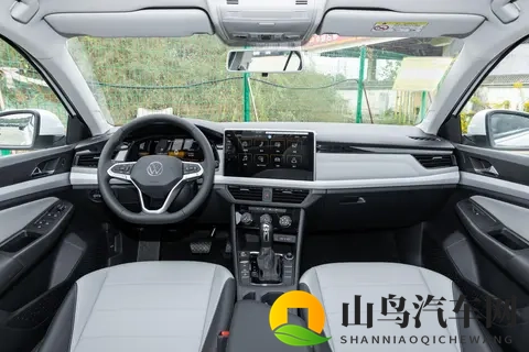 打扑克又叫又痛：新一代豪车：性能奢华，智慧出行-1