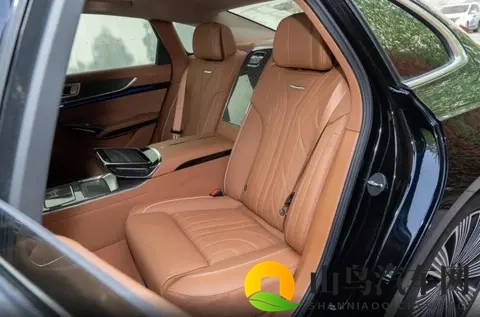 二十多万的豪华C级车,入门即高配,红旗H9选购指南来了-2