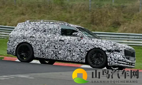 在“霸气”与“硬气”间：奥迪霍希首款SUV旗舰选择了“和气”！-2