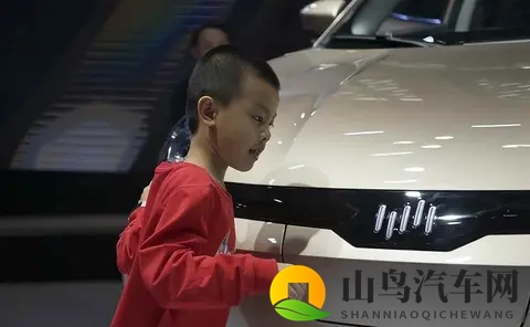 一夜负债200亿？电动车巨头轰然倒塌：终于活成贾跃亭信徒-2