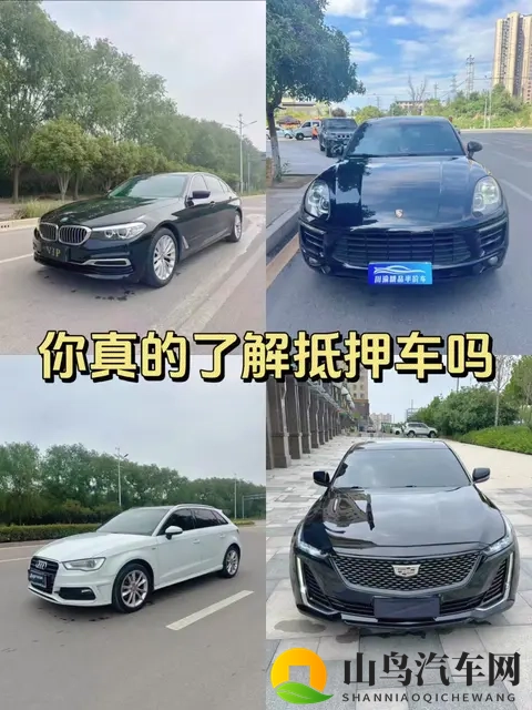 2025年买二手车亏2万？闺蜜血泪教训！3类车别碰+新车平替-1