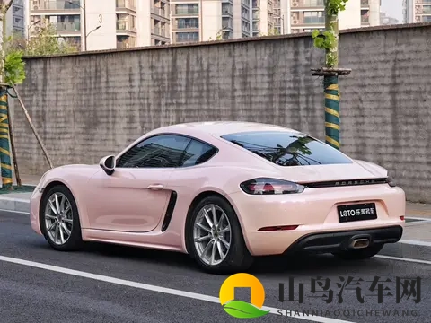 忘忧草日本:汽车新宠:诗意品牌引领绿色出行潮流-1