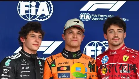 爆冷！维斯塔潘Q1出局，诺里斯夺杆！巴西排位赛大乱局！-2