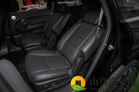 新一代帕里斯帝来袭，空间大、配置高，能否成为爆款？-2