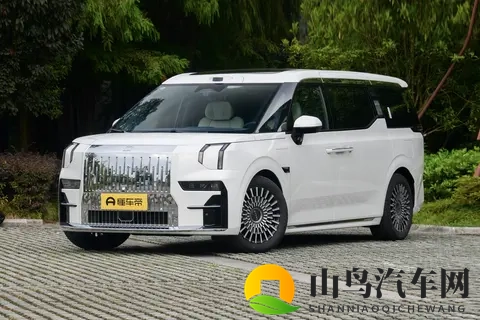 双十一给家人选礼，咱得挑个实在又暖心的！极氪009这波福利真行-1