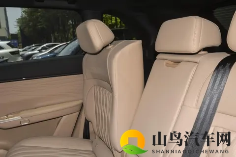 豪华SUV该选性能还是选舒适？2025款星纪元ET给出了答案-1