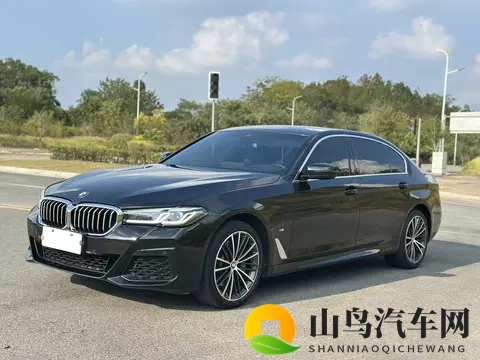 一手准新宝马5系，20T也能优雅从容，宜商宜家！-1