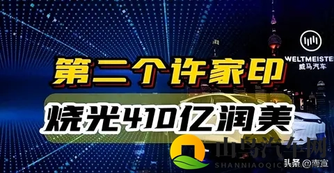 沈晖跑路，威马烂尾，资本认栽-1