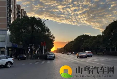 纠结半年,我最终放弃买新能源车!租房的打工人,真心劝你三思-1