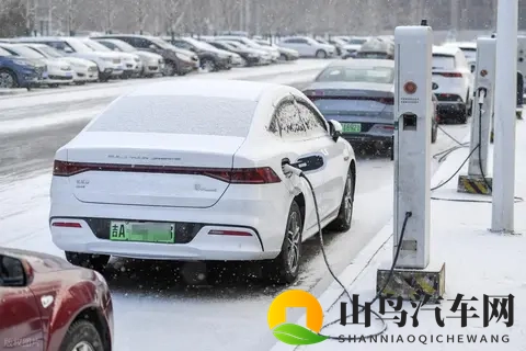 燃油车真的凉了？99% 车主用脚投票，这组数据戳破争议-3