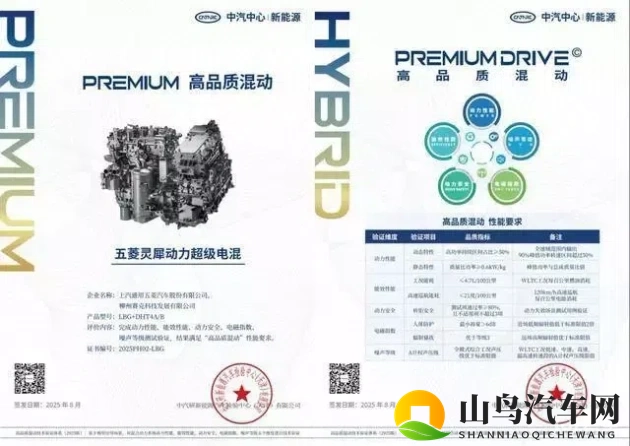 壮志凌云满天星：梦想翱翔，星光璀璨照耀远方-1