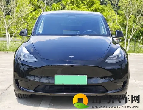 15万多拿下22年Model Y,圆你特斯拉梦?-3