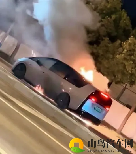 理想MEGA起火，召回11411台：一场本可避免的“冷却液危机”？-2