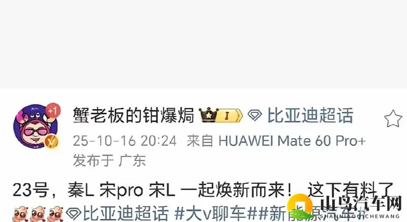 比亚迪秦 L _ 宋 Pro _ 宋 L 同步改款-1