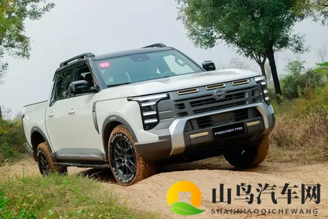 定名锋坦挂日产LOGO 郑州日产全新皮卡1769万起预售-1