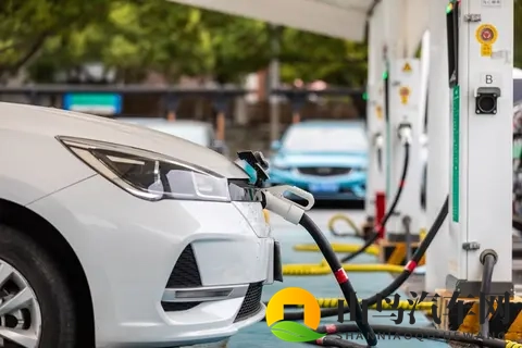 西西西444www无码视：网络无码视频资源网站推荐-3