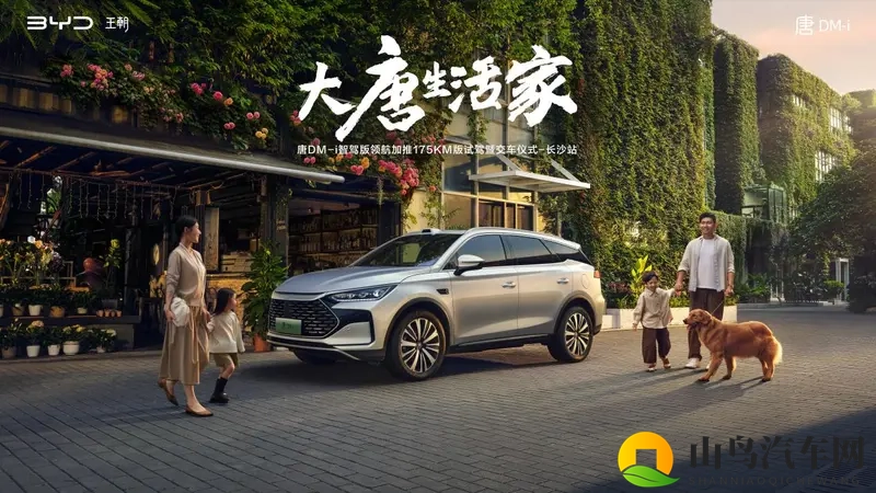 17.98万起比亚迪唐DM-i智驾版领航加推175KM版-1