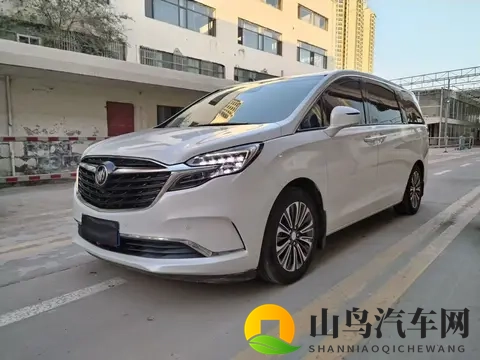 10万公里正当年，宜商宜家，18万多拿下21款别克GL8陆尊！-3