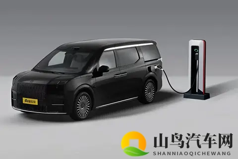 家庭商务通吃?极氪 009:800V +CCD+空悬 还有购车福利-1