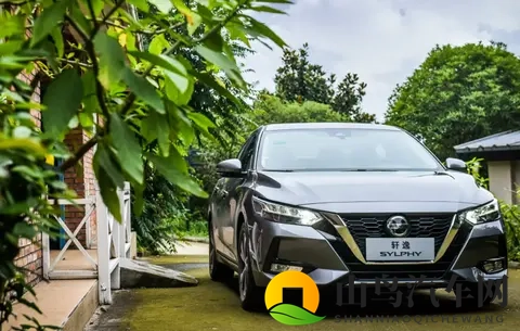 10月轿车销量解读:小、微型车名列前茅,燃油车表现抢眼-2