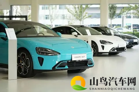 毛利率之争白热化:谁将赢得未来市场的入场券?-3